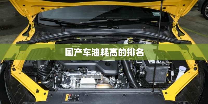 国产最好的发动机是哪款车