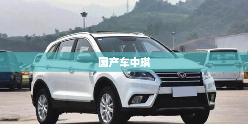 国产车中琪