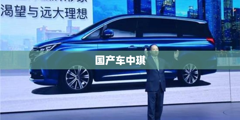 国产车中琪