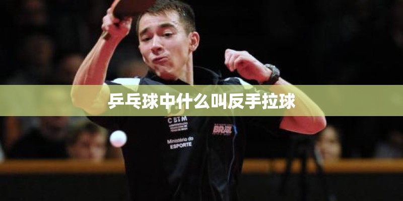 乒乓球中什么叫反手拉球