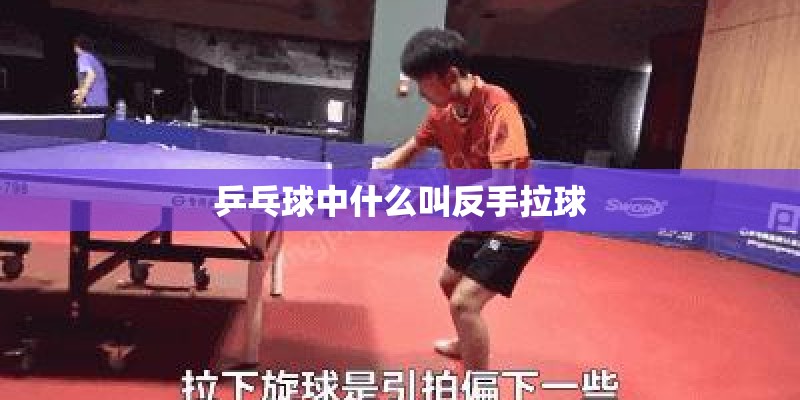 乒乓球中什么叫反手拉球