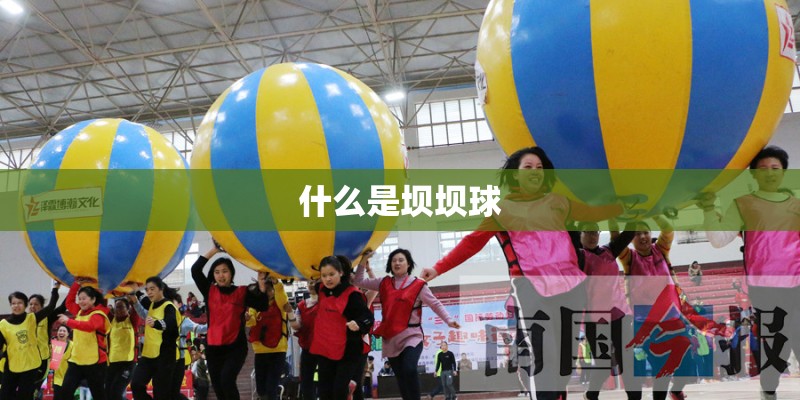 什么是坝坝球