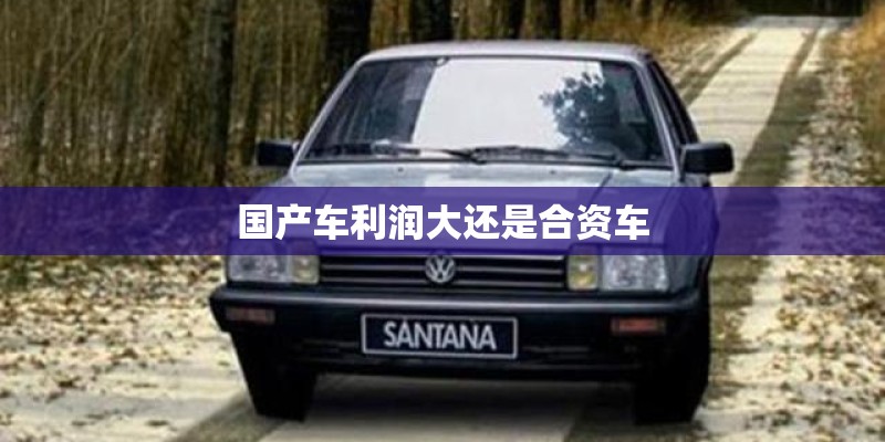 国产车利润大还是合资车