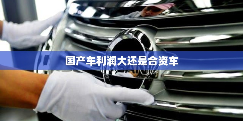 国产车利润大还是合资车