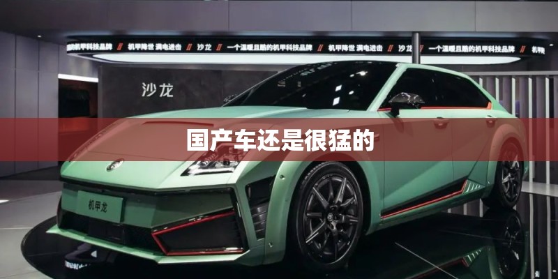 国产车还是很猛的