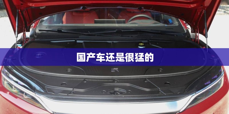 国产车还是很猛的