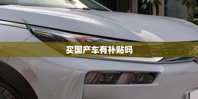 买国产车有补贴吗