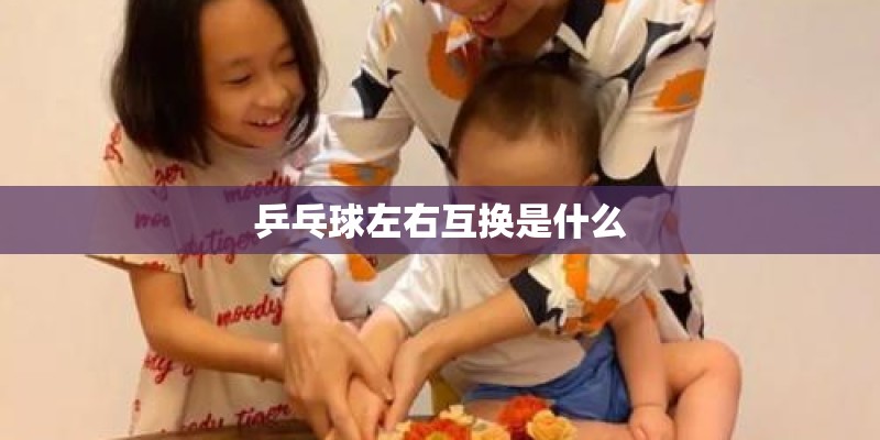乒乓球左右互换是什么