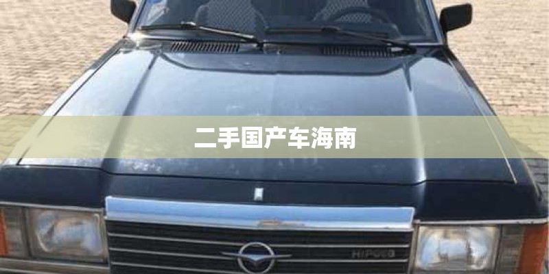 二手国产车海南