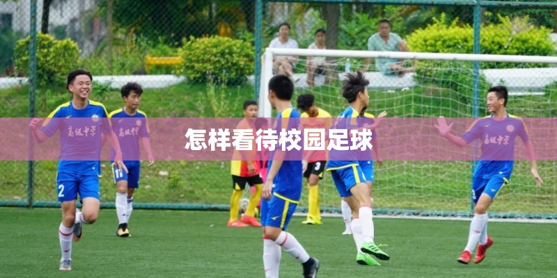 怎样看待校园足球