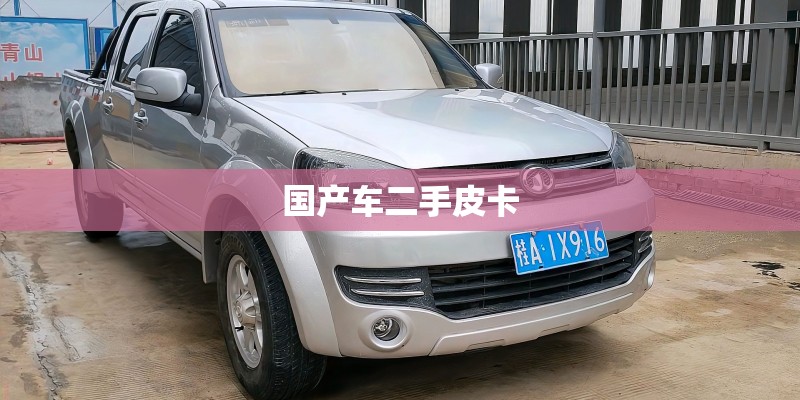 国产车二手皮卡