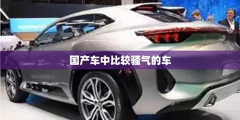 国产车中比较骚气的车