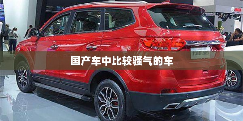 国产车中比较骚气的车