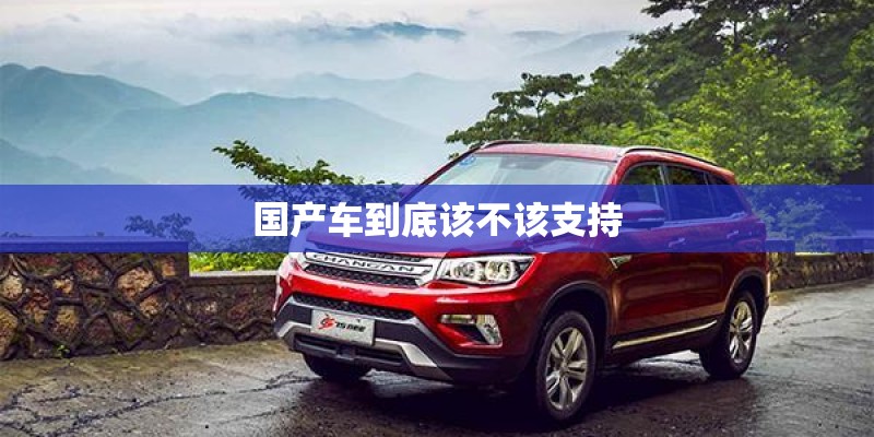 国产车到底该不该支持