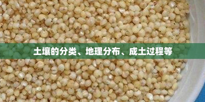 土壤的分类、地理分布、成土过程等