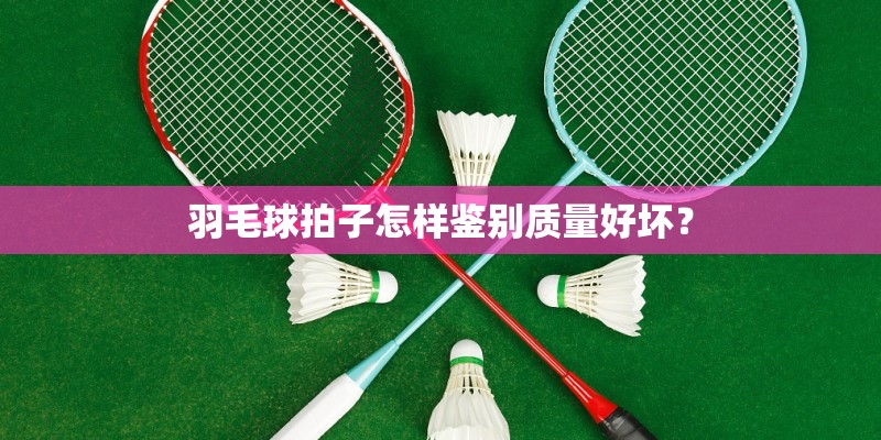 羽毛球拍子怎样鉴别质量好坏？