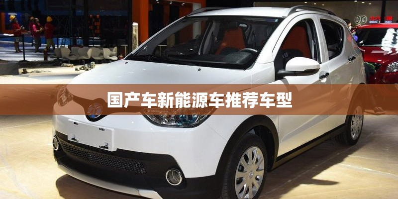国产车新能源车推荐车型
