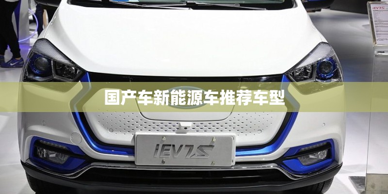 国产车新能源车推荐车型