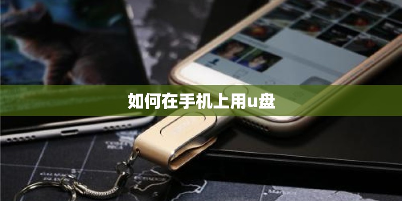 如何在手机上用u盘
