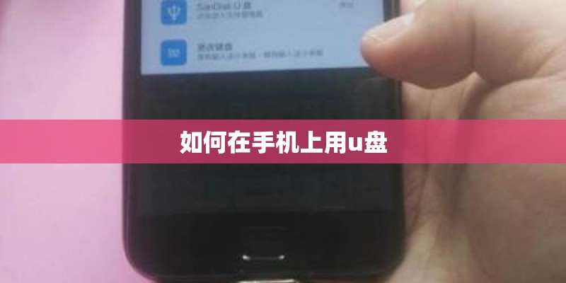 如何在手机上用u盘