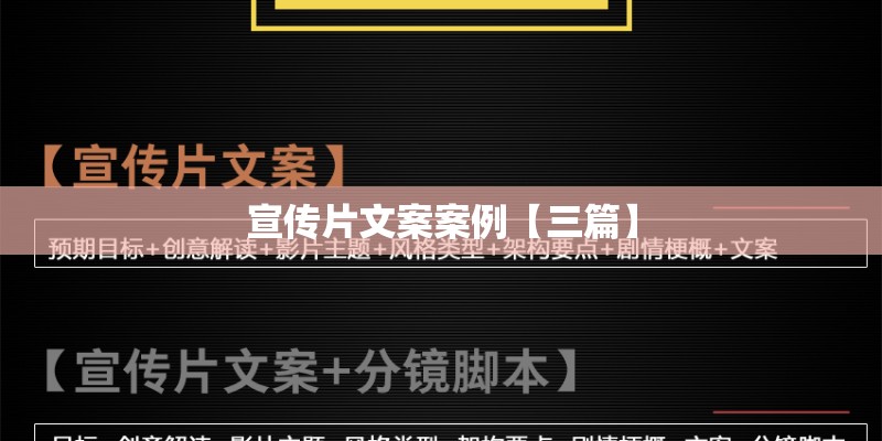 宣传片文案案例【三篇】