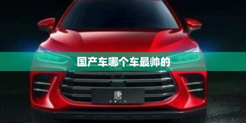国产车哪个车最帅的
