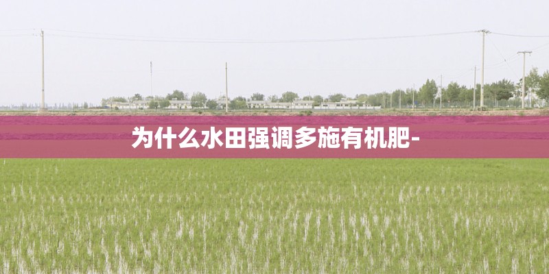 为什么水田强调多施有机肥- 为什么水田强调多施有机肥-