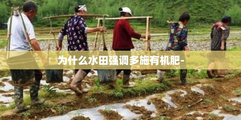 为什么水田强调多施有机肥- 为什么水田强调多施有机肥-
