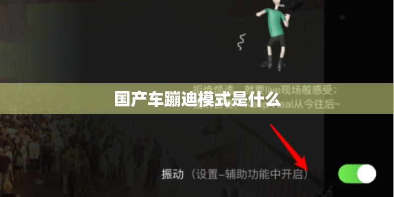 国产车蹦迪模式是什么
