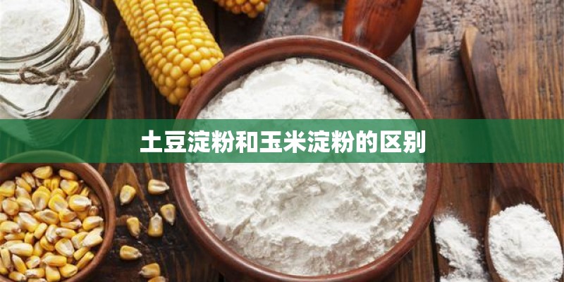 土豆淀粉和玉米淀粉的区别