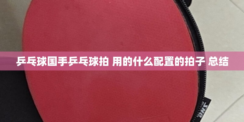 乒乓球国手乒乓球拍 用的什么配置的拍子 总结