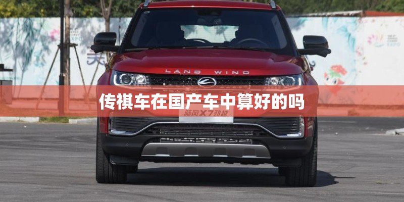 体育教育的教学活动方案