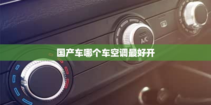国产车哪个车空调最好开