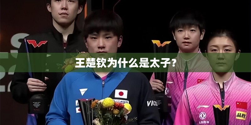 王楚钦为什么是太子？