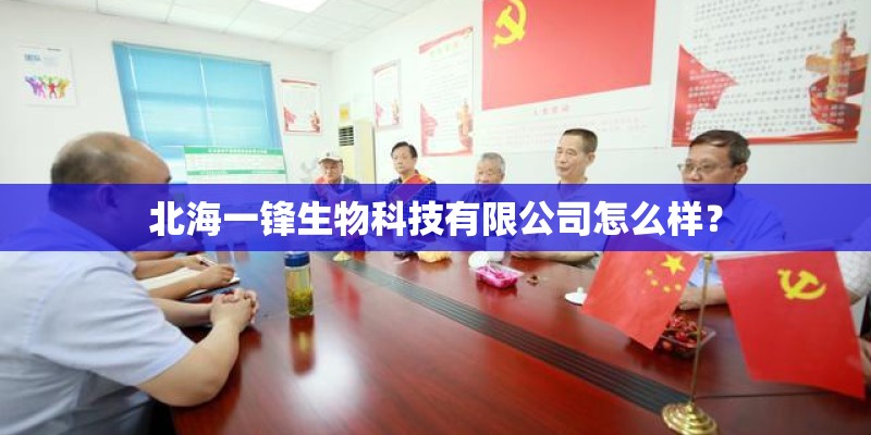 北海一锋生物科技有限公司怎么样？