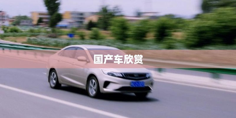 国产车欣赏