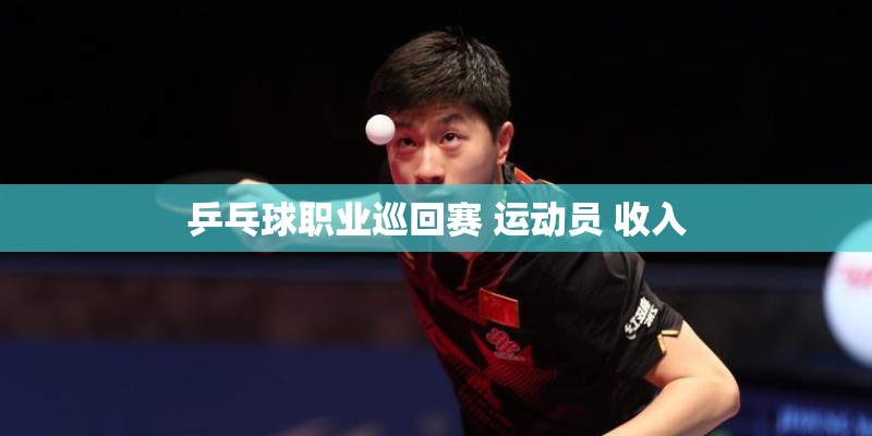 乒乓球职业巡回赛 运动员 收入