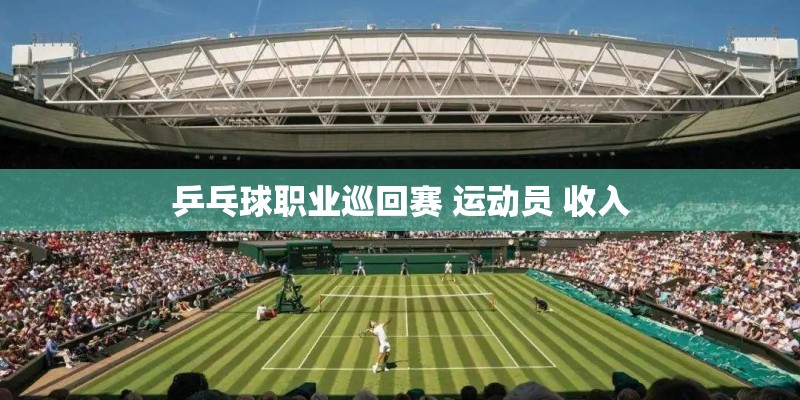 乒乓球职业巡回赛 运动员 收入 乒乓球职业巡回赛 运动员 收入