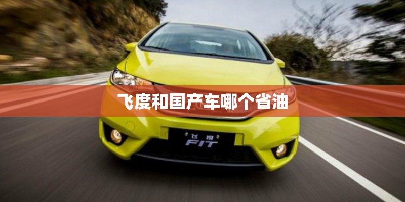 飞度和国产车哪个省油