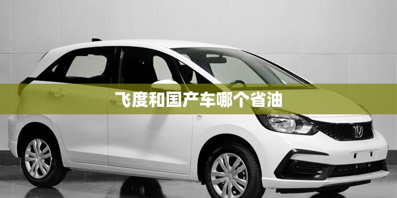 飞度和国产车哪个省油