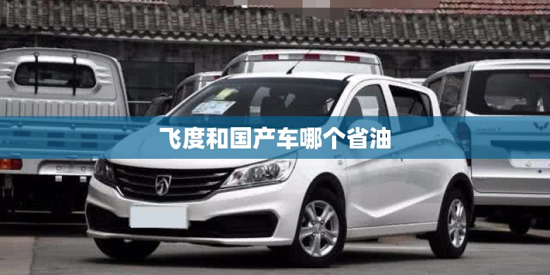飞度和国产车哪个省油