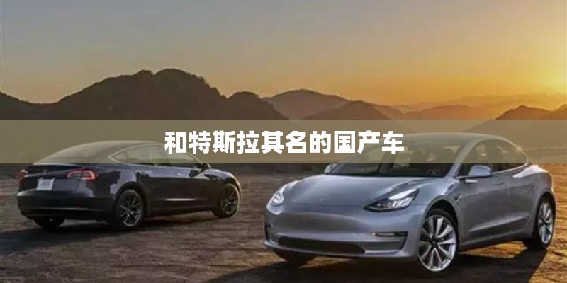 和特斯拉其名的国产车