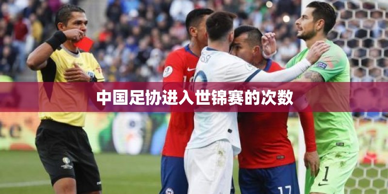 中国足协进入世锦赛的次数