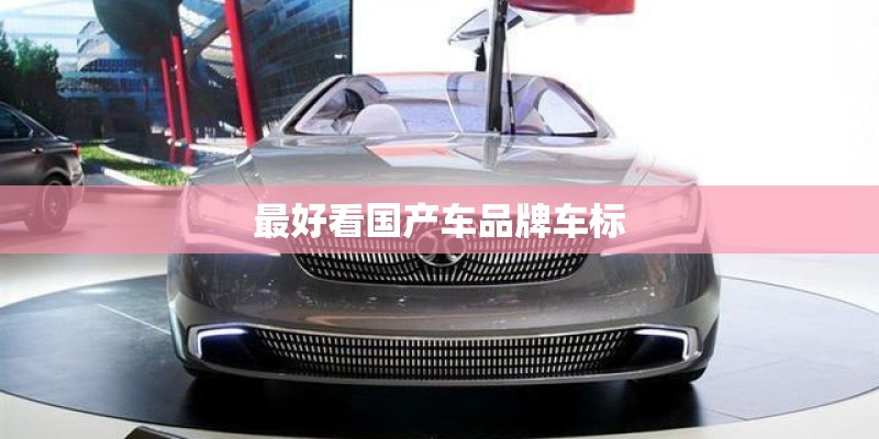 最好看国产车品牌车标
