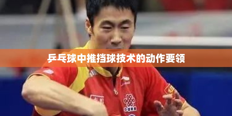 乒乓球中推挡球技术的动作要领 乒乓球中推挡球技术的动作要领