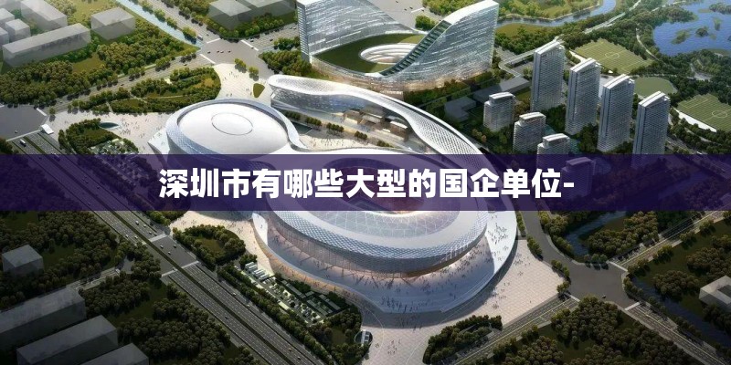 深圳市有哪些大型的国企单位-
