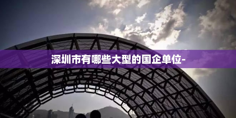 深圳市有哪些大型的国企单位-