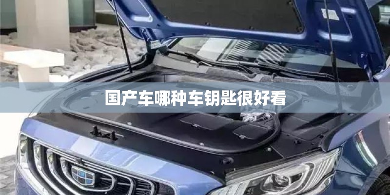 国产车哪种车钥匙很好看 国产车哪种车钥匙很好看