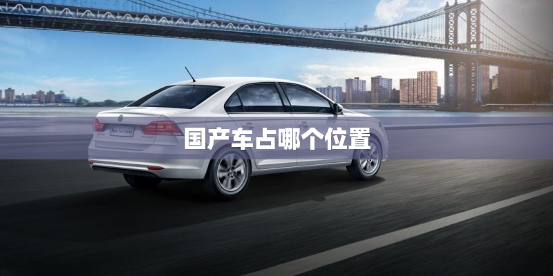 国产车占哪个位置