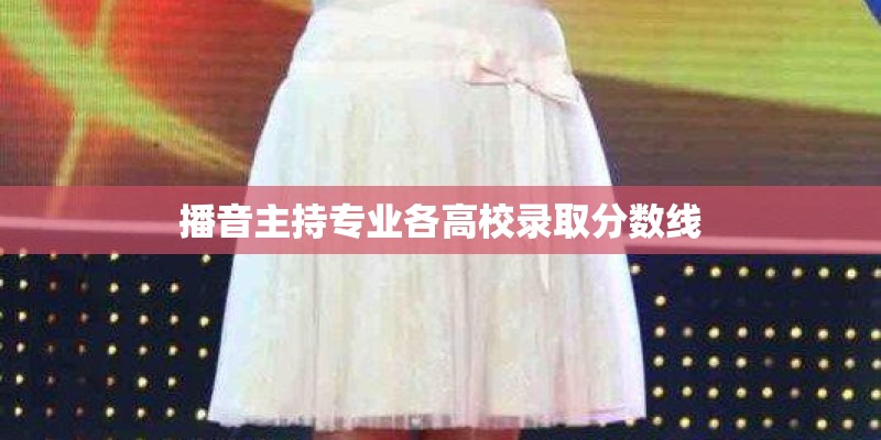 播音主持专业各高校录取分数线